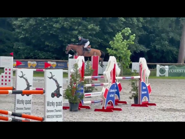 Bayeux DM Z, 6 y 3/4 sister of dam