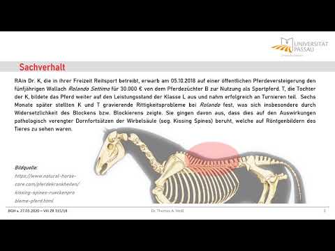 Aktuelle Rechtsprechung - BGH VIII ZR 315/18, Teil I:  Sachverhalt