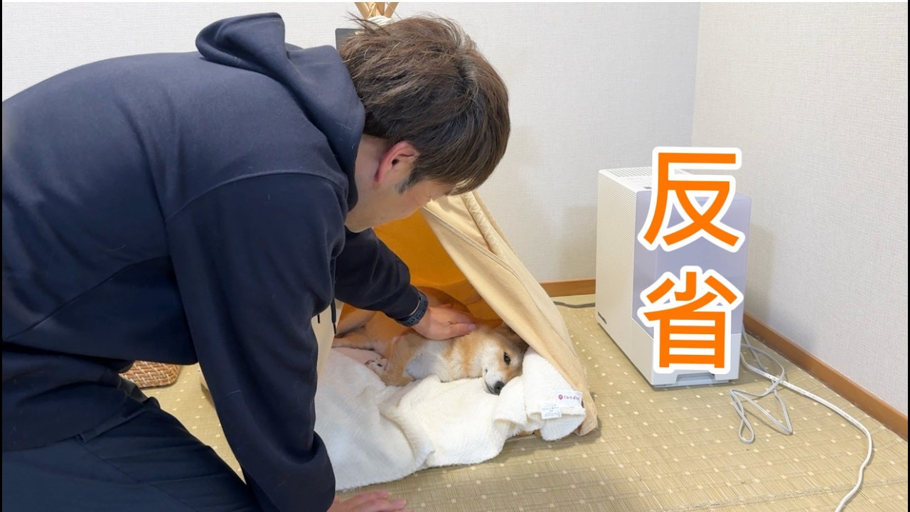 福ちゃんに申し訳ないことしてしまいました…