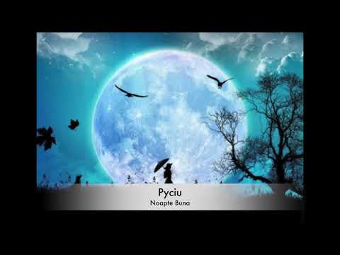Pyciu - Noapte Bună
