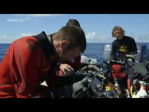 Le Coelacanthe Plongee Vers Nos Origines DOC FRENCH HDTV x264 ABiTBOL