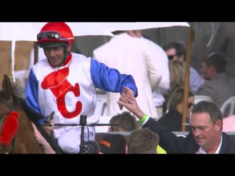 The Team Behind Savvy Coup