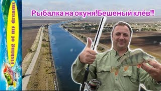 Рыбалка на магистральном приазовском канале лунного окуня