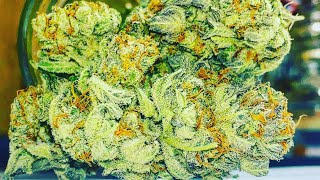ETHOS APEX Strain Review