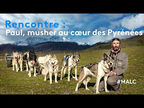 Rencontre : Paul, musher au cœur des Pyrénées