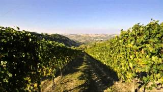 preview picture of video 'Azienda agricola Podere Pratale - Borgo Tossignano (BO)'