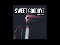 Robin Schulz - Sweet Goodbye (Instrumental)