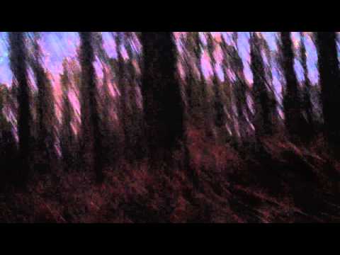 Des cris,des cris et encore des cris a Saule-Marie (Spécial nocturne #2)