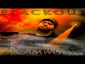 Blackout - Dim da Lights  feat. Playa Posse   1995