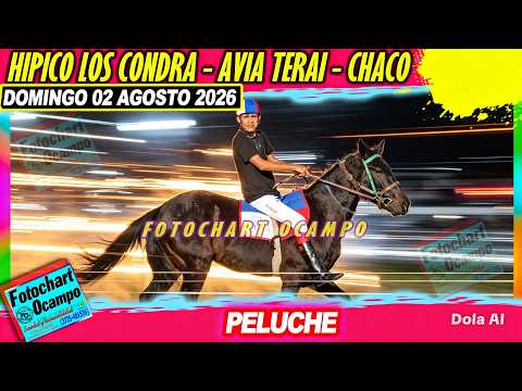 PELUCHE Avia Terai CH 02 08 2026