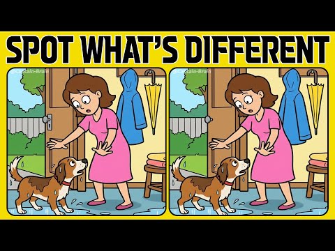 Spot the Difference in This Medium Tricky Set of 5 Puzzles and Find All 15