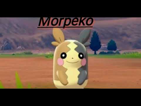 Top 10  Dark type pokemon