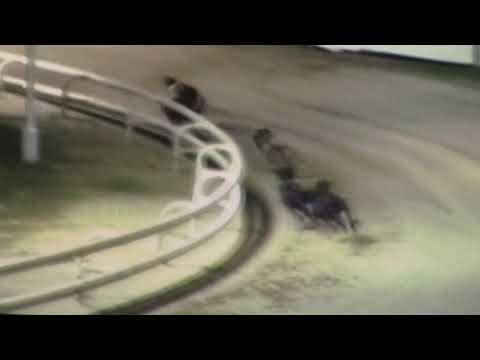 DROOPYS LIVE Trap 1 wins 640 mtr Open Race 27th Dec 2019