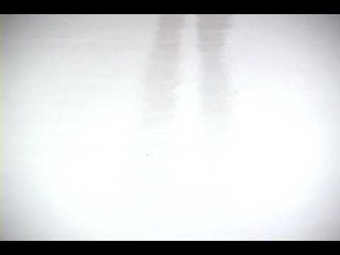 Havaianas - Para todas as cores e modelos