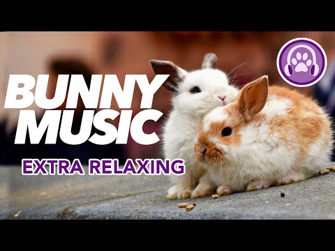 Music for Rabbits - INCREDIBLE RESULTS (11 Hour Lullaby)