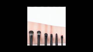 Choyu - Makeup Brush / PVC Brush Pouch / Set