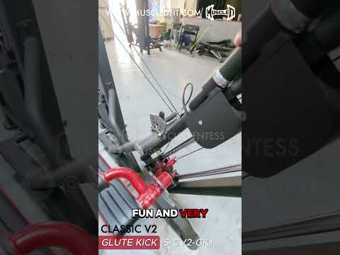 Muscle D Fitness Commercial Selectorized Classic V2 Glute Kick (S-CV2-GK)