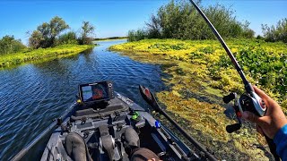 The sad truth about the California Delta