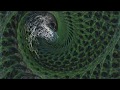 Ozric Tentacles - Cat DNA [Visualization]
