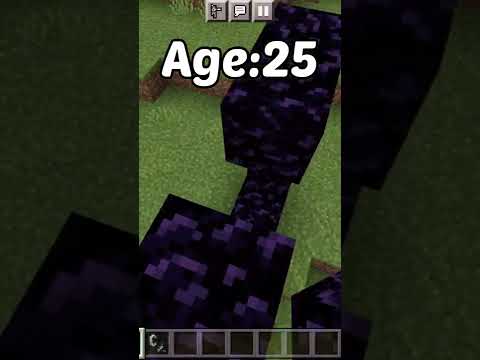 Building Nether Portals at different Ages