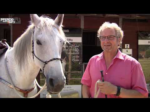 MUSTANG MAKEOVER 2018 Team Birger - EVENT