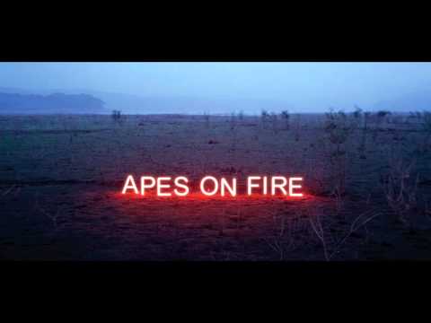 The Glamour Manifesto - Apes On Fire