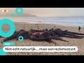 Huh?! Monster aangespoeld op het strand