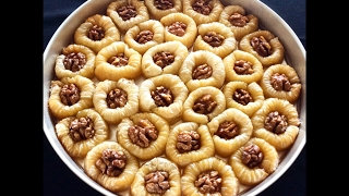 Halep Bülbülü (Cevizli Bülbül Yuvası)