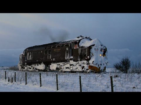 37685 visits Wick (again)