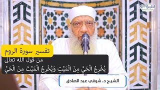 04 تفسير سورة الروم من قول الله تعالى (يُخرج الحي من الميت) الآيات 19-21 image