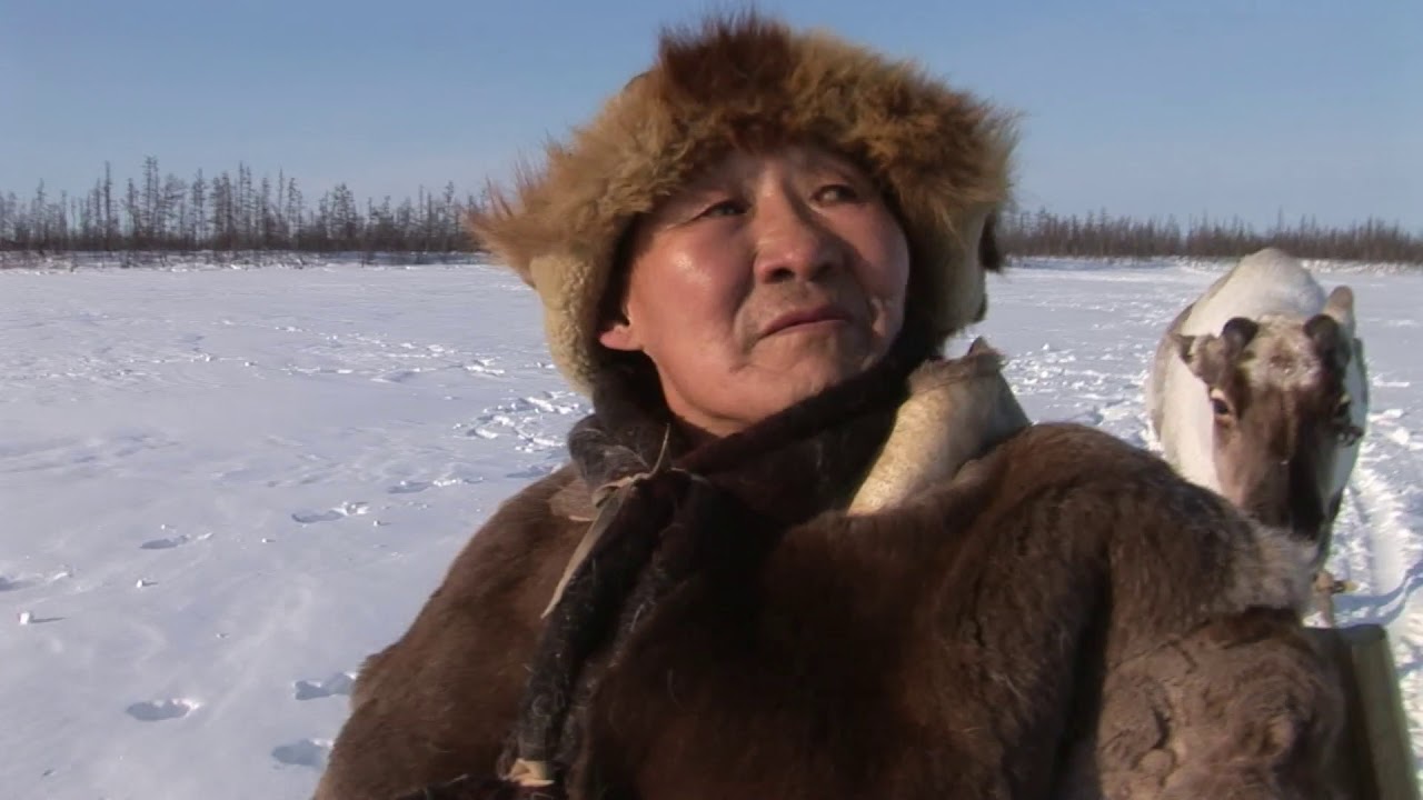 Török Zoltán - The White Reindeer ( trailer )