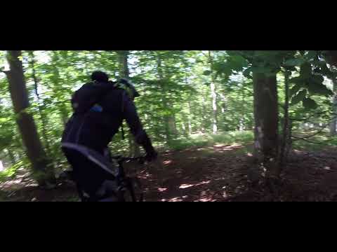 bardineto Mountain Bike