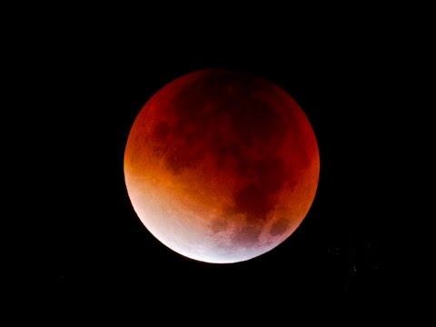 Totale Mondfinsternis 2015 in Hamburg by Heinrich Eder