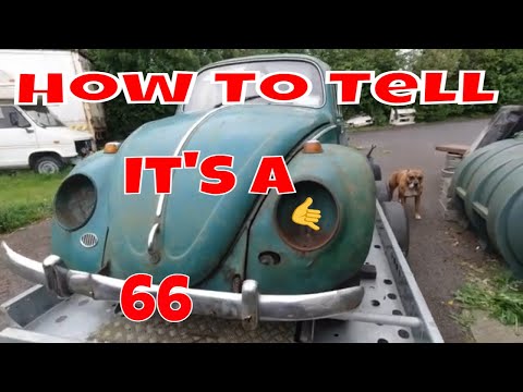 VW Beetle 1966 Distinguishing Facts, on how to tell if you've got a genuine volkswagen 1966 beetle.