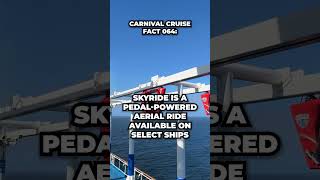 Carnival Cruise Fact 064 #fallintoshorts