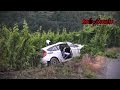 Test Elfyn Evans Fiesta WRC Germany 2014 HD