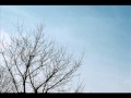 Purple Mountain/Scott Cossu