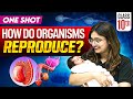 How Do Organisms Reproduce Full Chapter In ONE SHOT CBSE Class 10 Science NCERT 2025 26