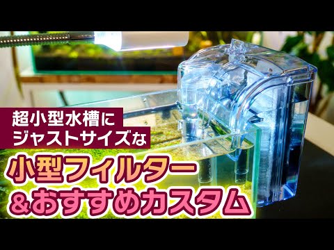 , title : '超小型水槽に使えるろ過装置！外掛けフィルターレビュー＆スマートに使うおすすめカスタマイズも紹介 #アクアリウム #nanotank'