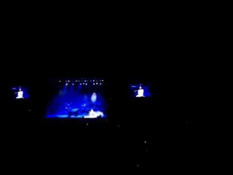Yanni Concert in Brooklyn August 2014