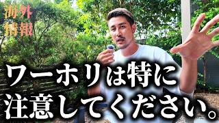 ワーホリは特に注意!! 判断ミスで大変なことになります。【急に潰れる語学学校｜悪徳エージェント】