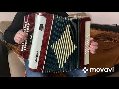 Расцвела под окошком белоснежная вишня(гармонь Беларусь)