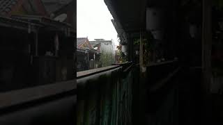 Download lagu suara hujan lebat atap seng #shorts #relaxingsounds mp3