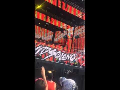 David solano @ smf 2014