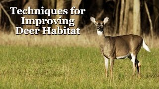 Techniques for Improving Deer Habitat