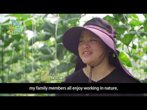 Joy on the farms of Taiwan Episode 9: Agrotechnicians