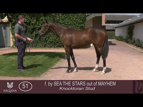 2021 August Yearling Sale - Lot 51 f. SEA THE STARS x MAYHEM