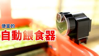 買最便宜的自動餵食器 我就省 我就懶 | RESUN 自動餵食器 AF-2003 日生