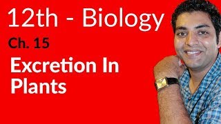 Fsc Biology Book 2 - Excretion In Plants Biology - Ch 15 Homeostasis - 12th Class Biology