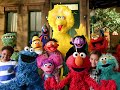 PBS Kids Program Break January 25 2008 WNED Vocalmix 2022 2023 Sesame Street IABBW